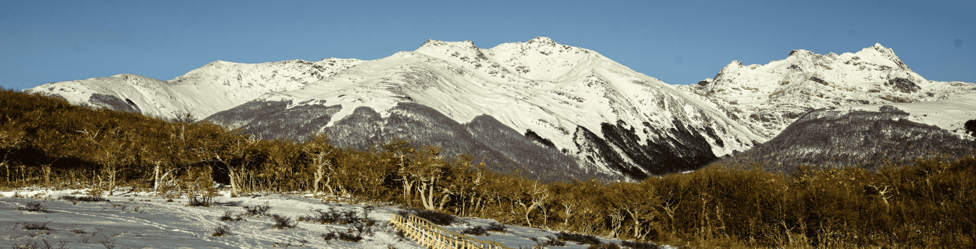 Patagonia Express